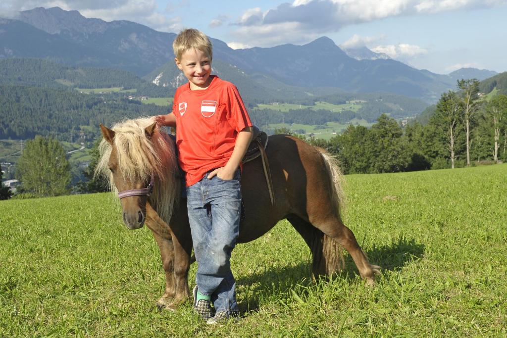 Zvieratá na farme alebo blízkom okolí
