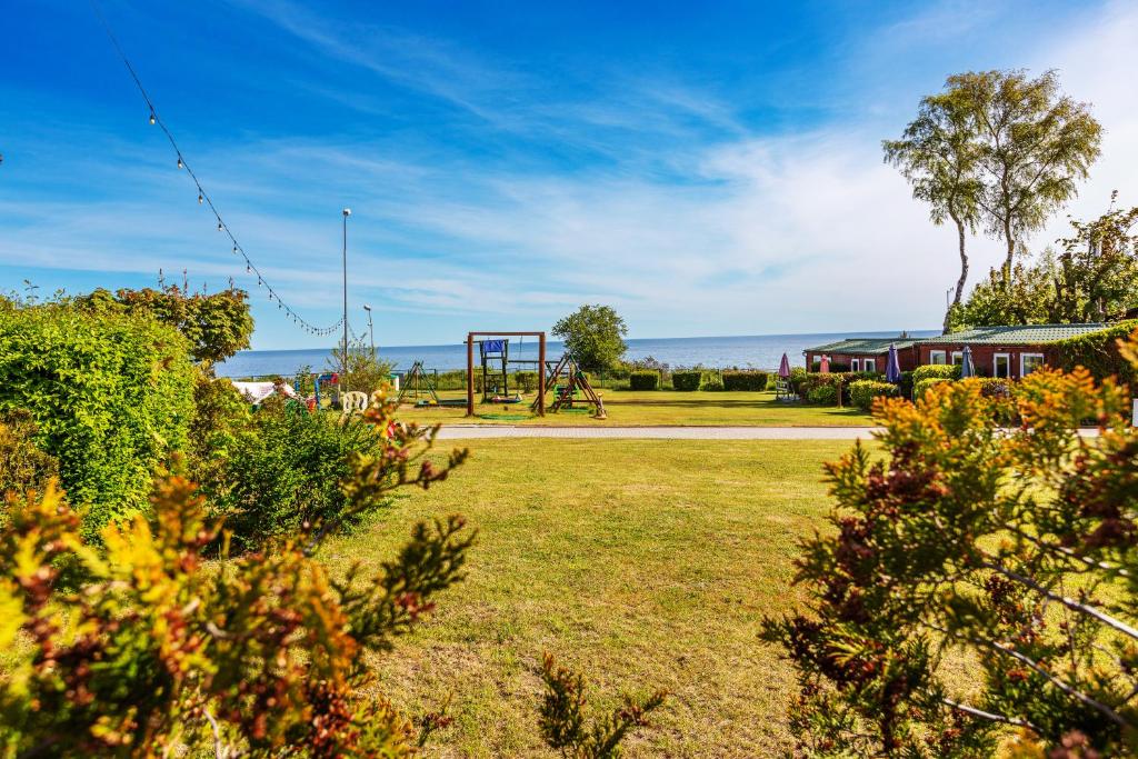 Róża Wiatrów - 13