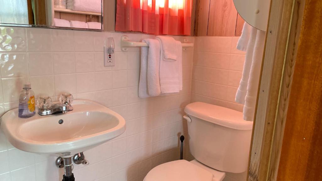 a bathroom with a toilet and a sink at Rachel's Motel and Cottages in Surrey