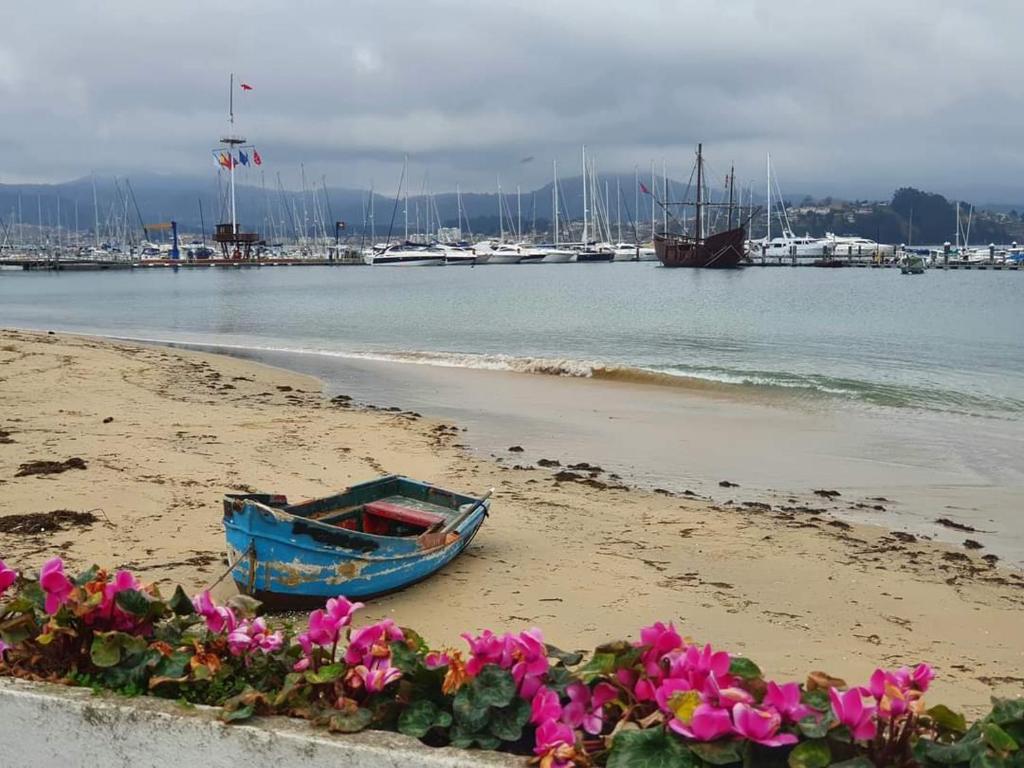 niebieska łódź siedząca na plaży z kwiatami w obiekcie Vivienda en el casco histórico de Baiona w mieście Baiona