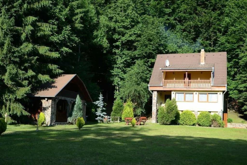 a house with a large yard with a yard at Máréfalvi vendégház in Băile Homorod