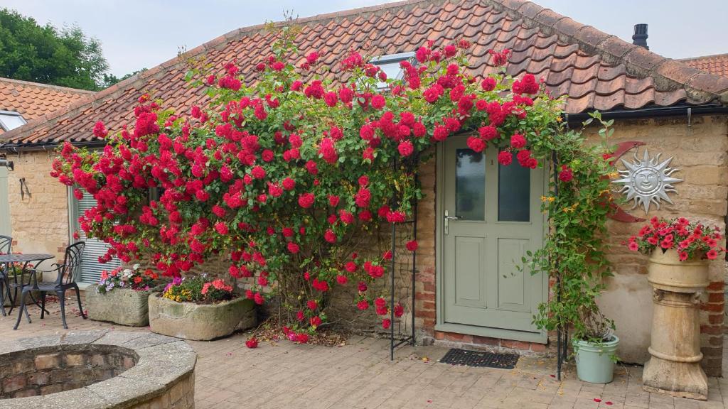 a house with a bunch of red flowers on it at Cosy Studio Cottage in Lincoln