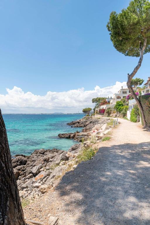 Táj Show holiday homes közelében