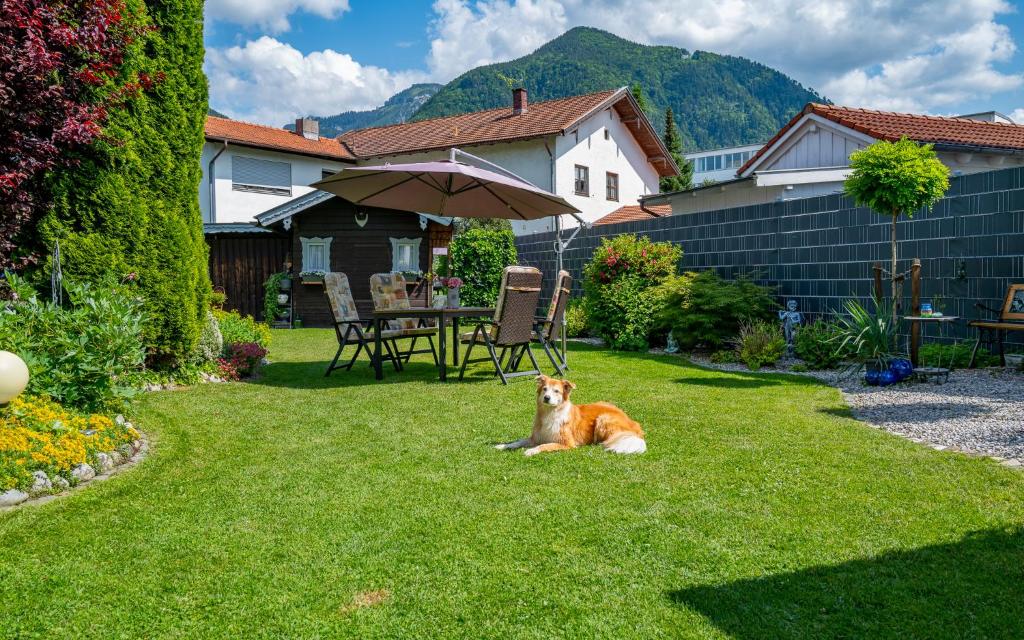 Domácí mazlíčci ubytovaní s hosty v ubytování Ferienwohnung Schnappenblick