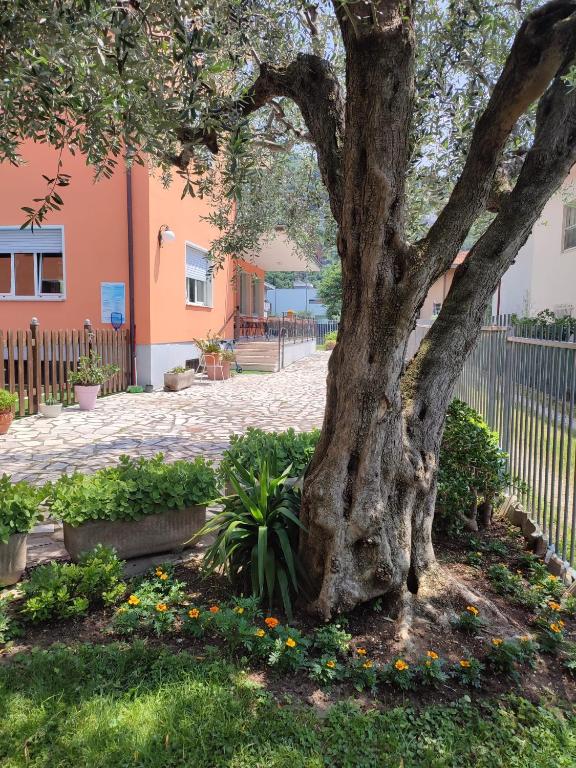 Fotografie z fotogalerie ubytování Albergo Villa Mimosa v destinaci Nago-Torbole