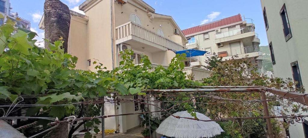 Ein Haufen Reben vor einigen Gebäuden in der Unterkunft R&A Apartmani Bečići in Becici