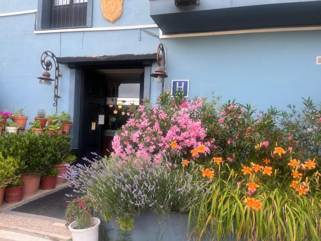 Hotel Patilla Ciudad de Requena, Requena – Bijgewerkte ...