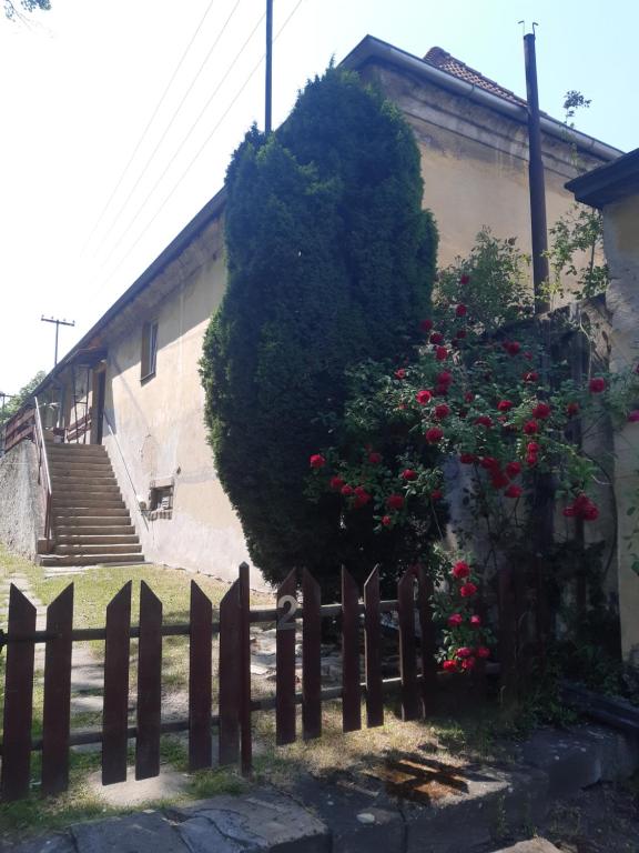 a large bush in front of a house with flowers at Apartmán u zámku in Smečno