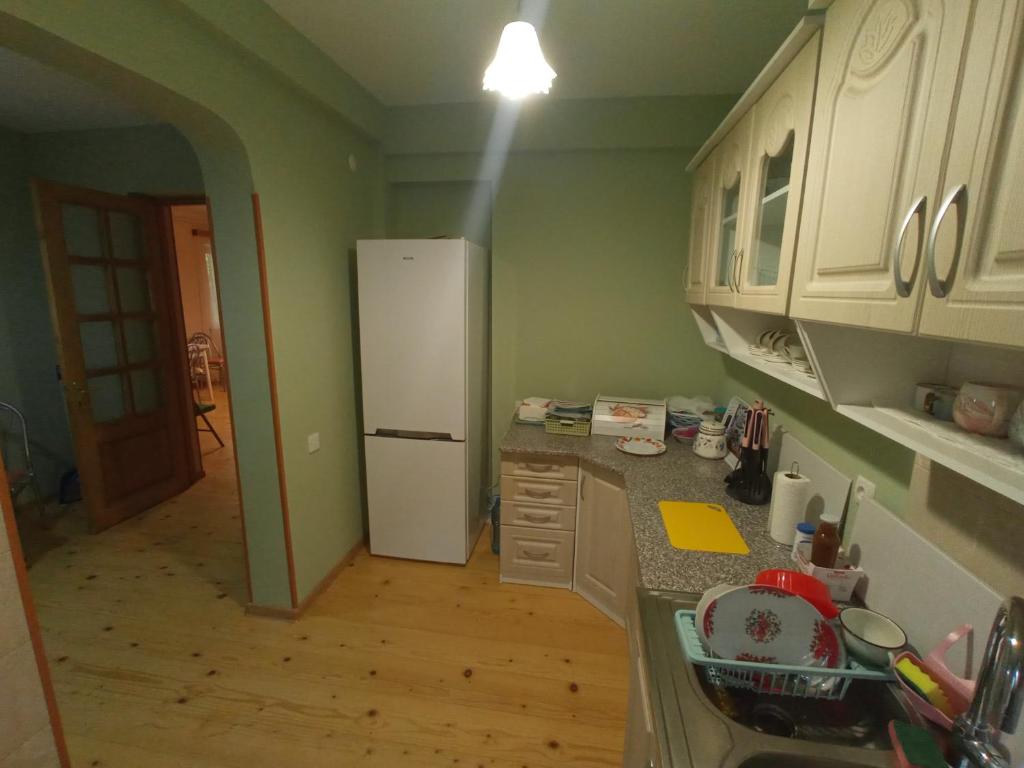 Kuchyň nebo kuchyňský kout v ubytování Art Racha