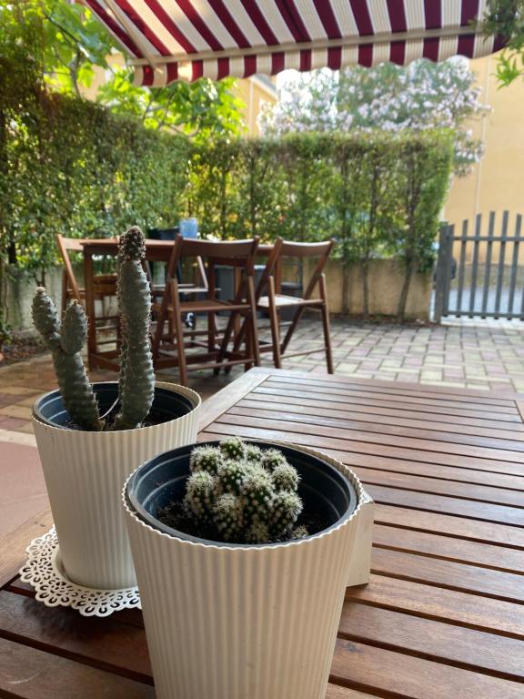 dos cactus en ollas sentadas en una mesa de madera en Appartamento Pizzo Beach, en Pizzo