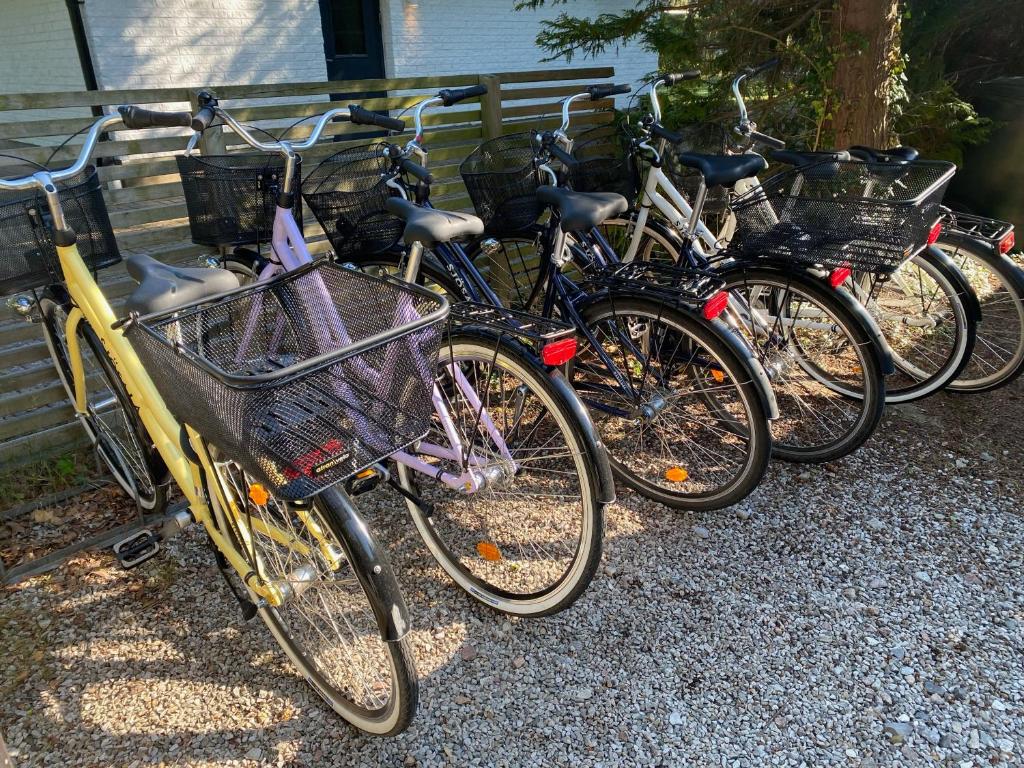 Jízda na kole v ubytování Flygarevägen nebo okolí