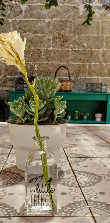 a flower in a glass jar next to a potted plant at La Fragna in Nardò