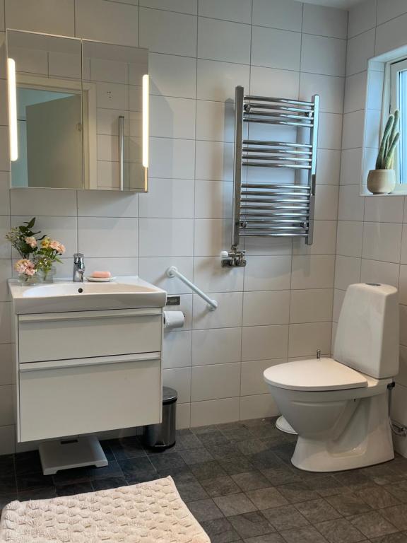 La salle de bains est pourvue de toilettes, d'un lavabo et d'un miroir. dans l'établissement Villa nära till natur och stan, à Göteborg