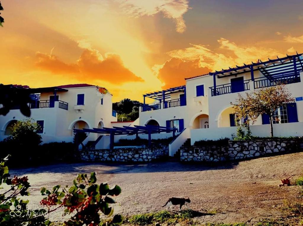 a cat walking in front of a building at Evangelia House Sea View Apartments in Agia Pelagia