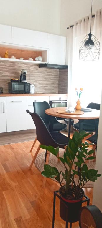 Kuchyň nebo kuchyňský kout v ubytování Apartman Blagojevic Hill