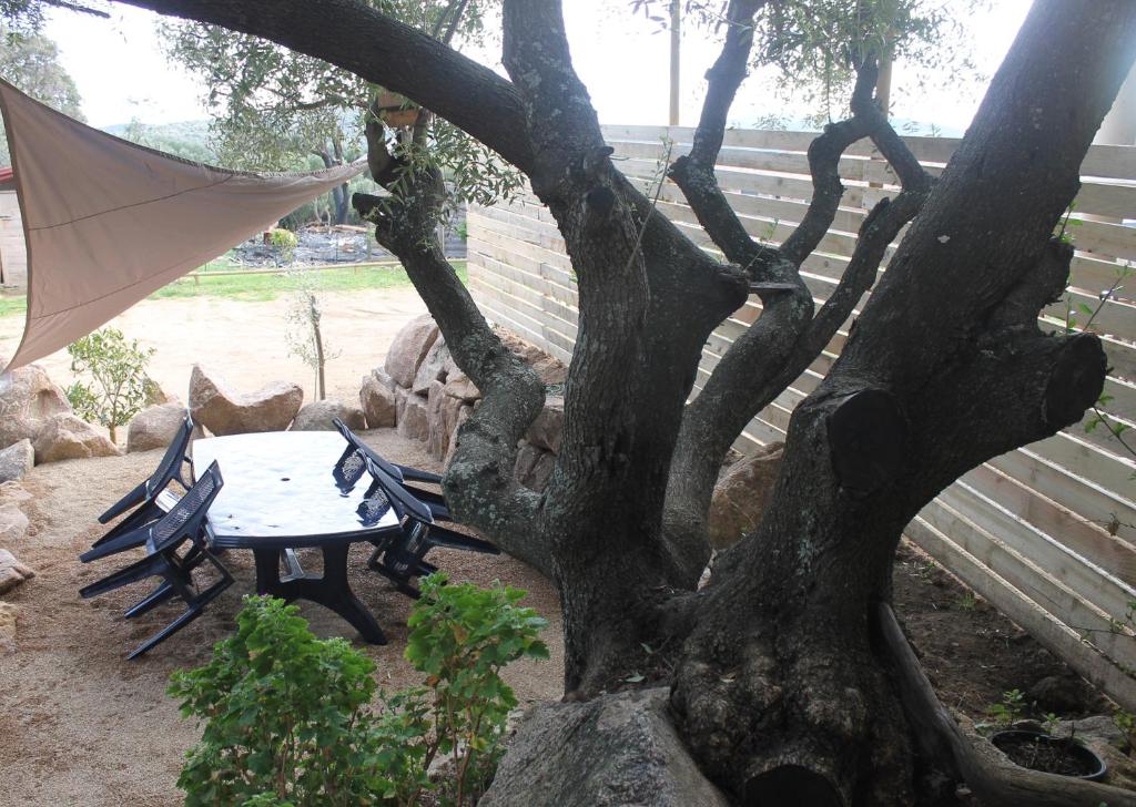 een tafel en een paraplu naast een boom bij Les hauts de Frisella in Monacia-dʼAullène