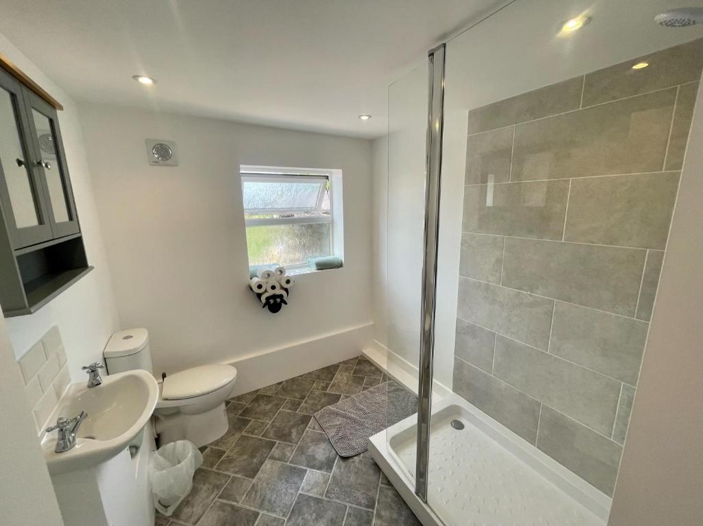 a bathroom with a shower and a toilet and a sink at Shepherds Gate at The Royal Oak Much Marcle in Preston