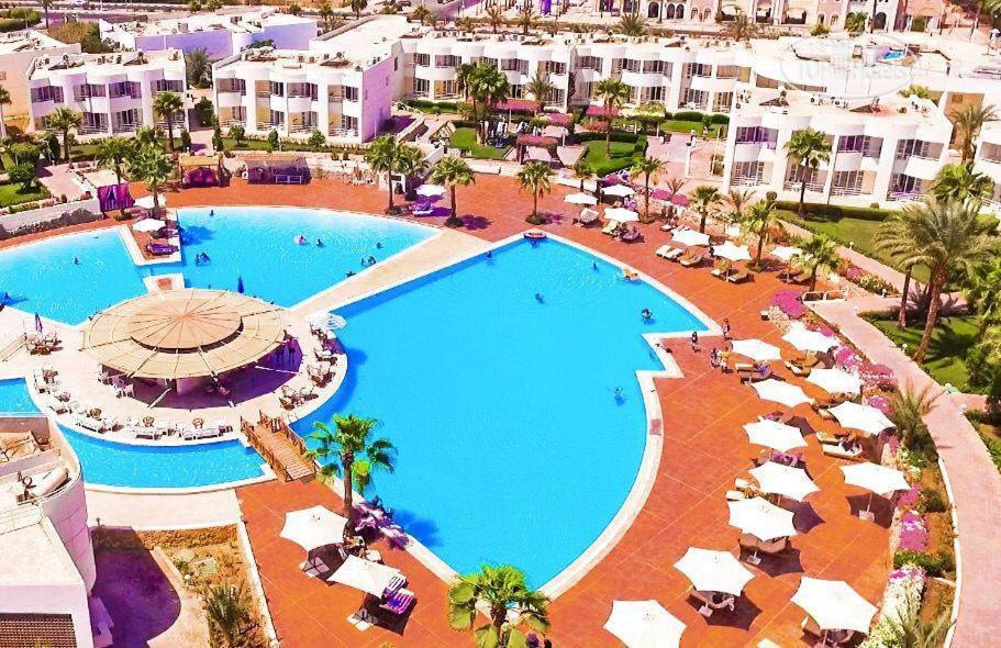 an overhead view of a pool at a resort at Sharm Reef Resort in Sharm El Sheikh