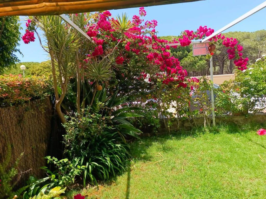 Vonkajšia záhrada v ubytovaní Apartamento a pie de playa con jardin privado