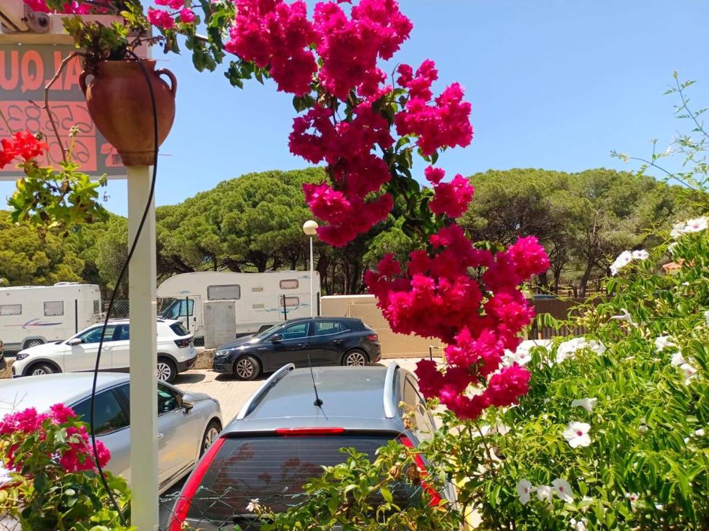 Príroda v okolí apartmánu