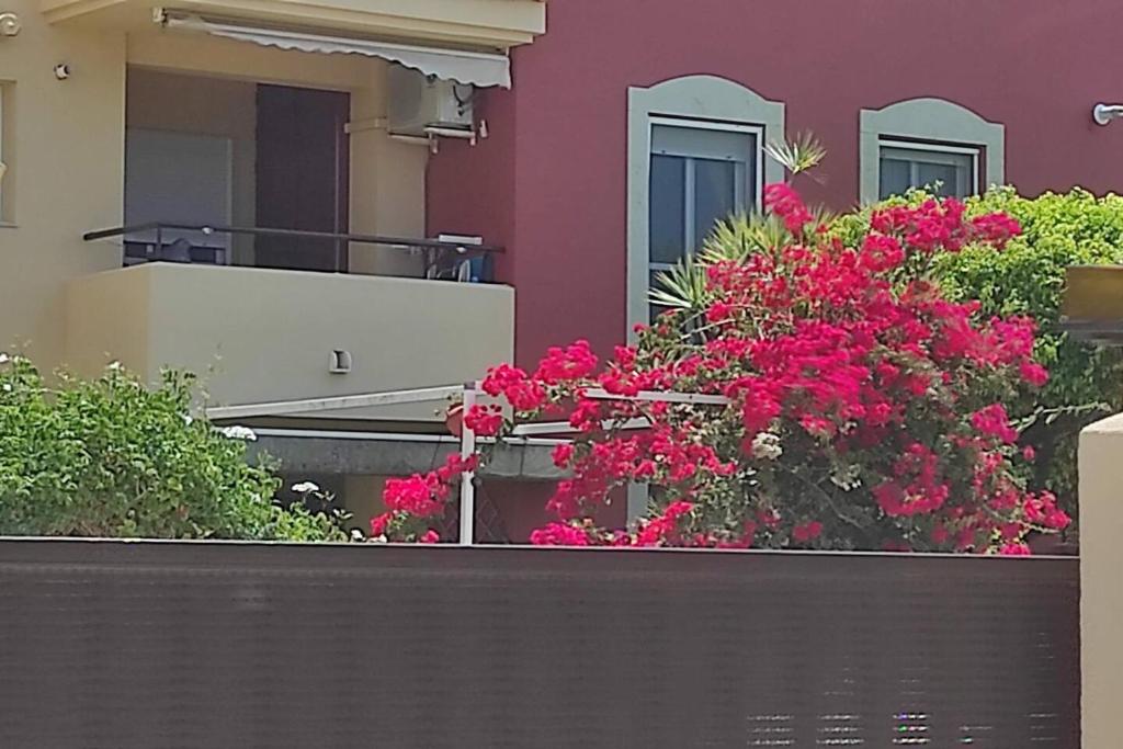 Balkón alebo terasa v ubytovaní Apartamento a pie de playa con jardin privado