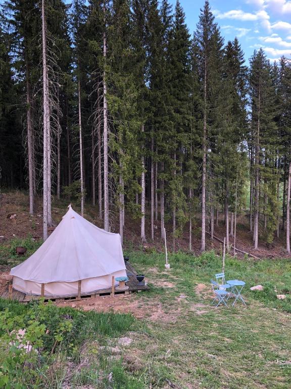 Příroda nedaleko luxury tent
