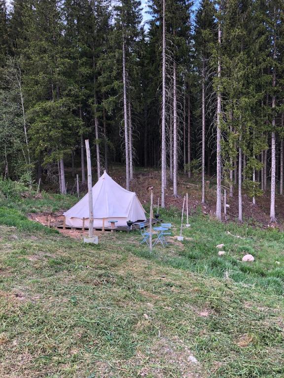 Příroda nedaleko luxury tent