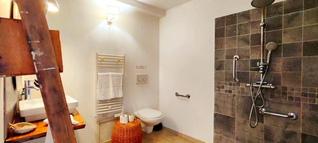 a bathroom with a shower and a toilet at Domaine du Châtelard in Dirac