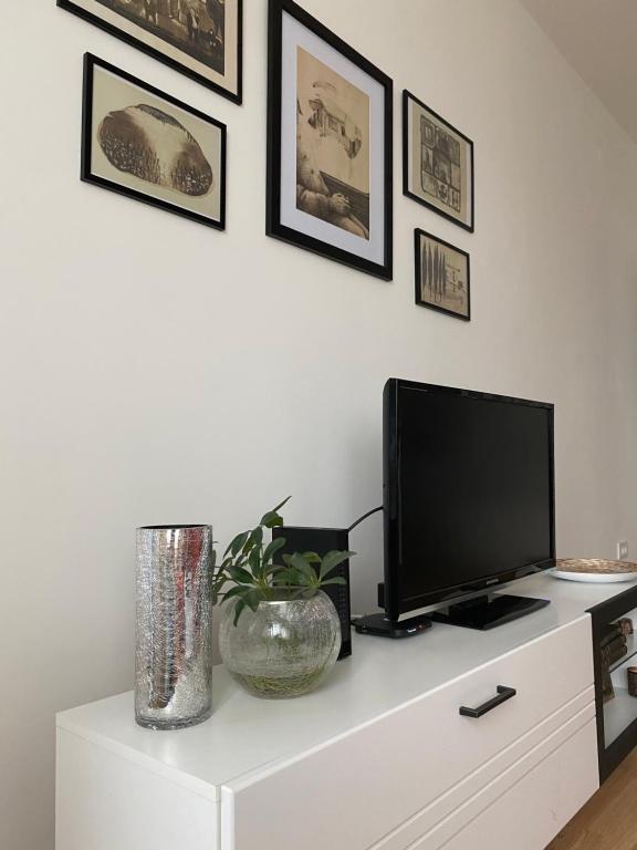 TV a/nebo společenská místnost v ubytování Lilien apartman