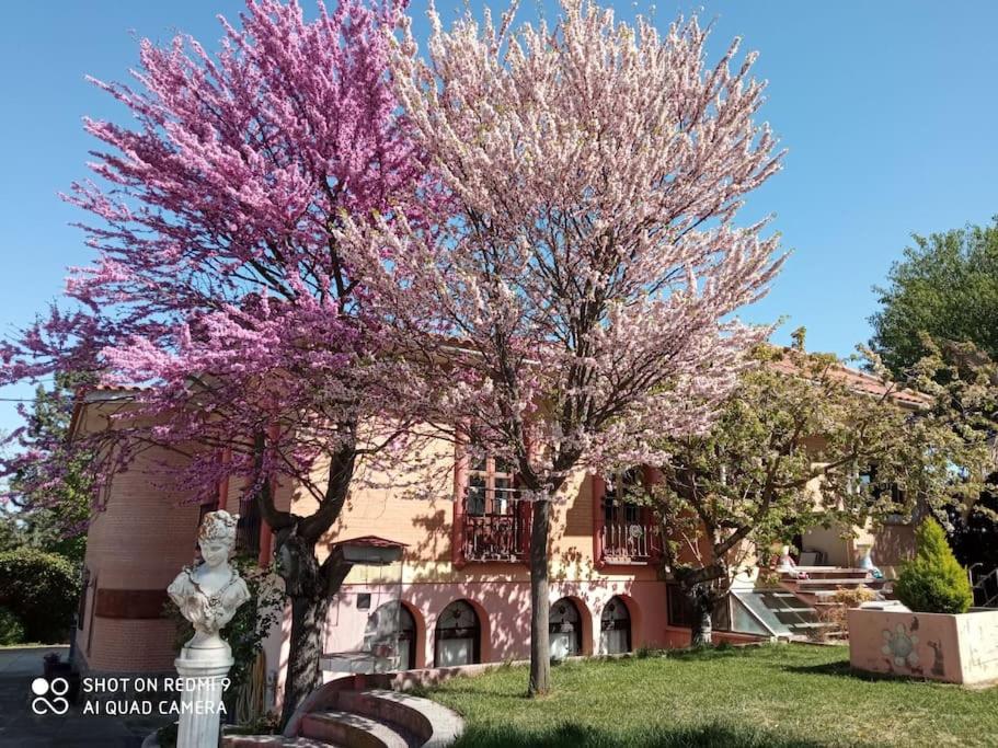 un árbol con flores rosas delante de una casa en Finca DeNuñez, en La Mata