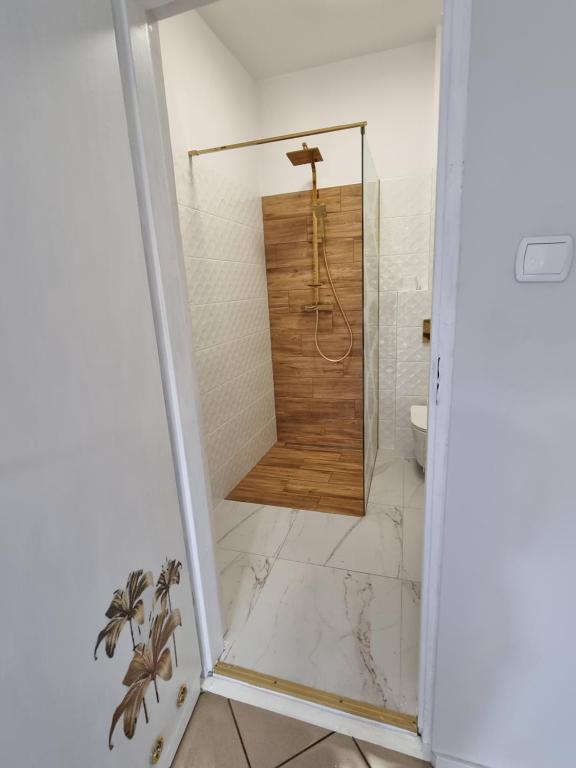 a shower with a glass door in a bathroom at Apartament Kosynka 
