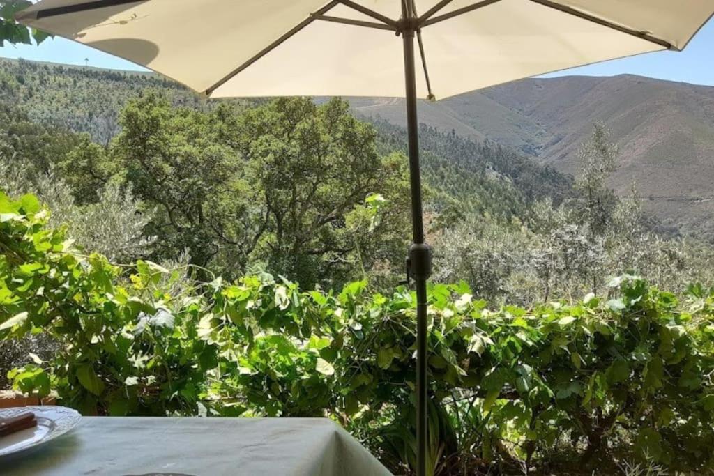 um guarda-chuva branco sentado em cima de uma mesa em Adcasinha em Arganil em Adcasal