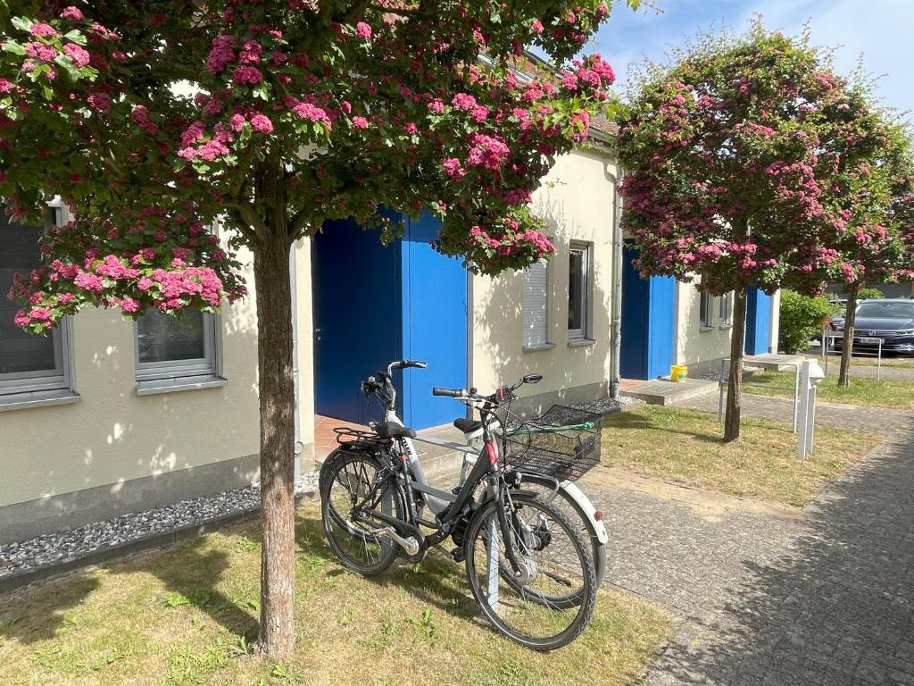 a bicycle parked next to a house with pink flowers at Apartment Biber in Dewichow