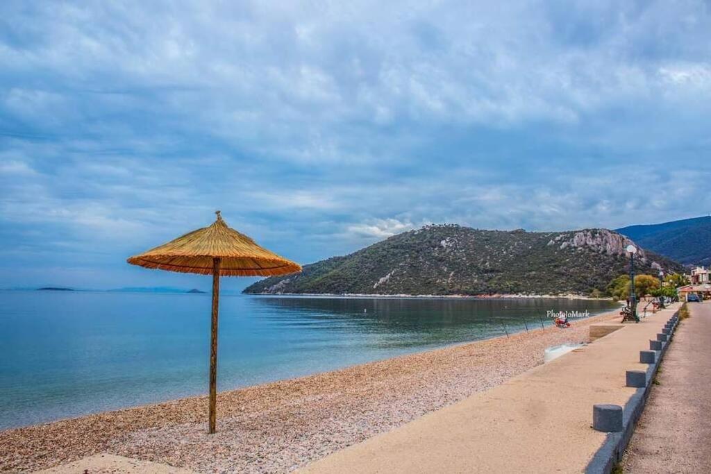 a beach with an umbrella and the water at Διαμέρισμα με θέα στη θάλασσα στα Λουτρά Ωραίας Ελένης in Loutra Oraias Elenis