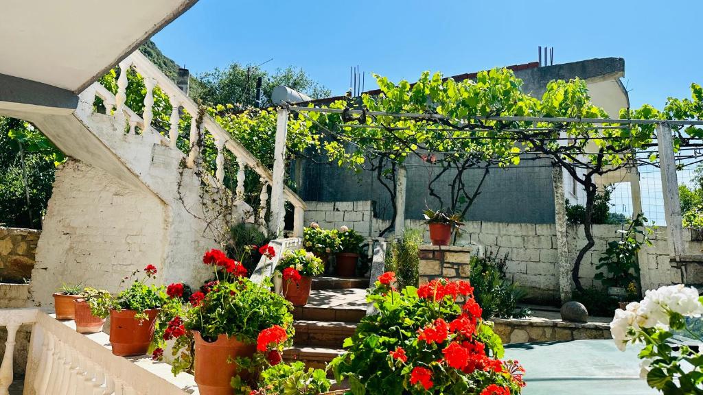Jico Travel-Villa Samuel - Image 7