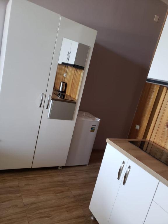 Kuchyň nebo kuchyňský kout v ubytování MIDIA Guest House
