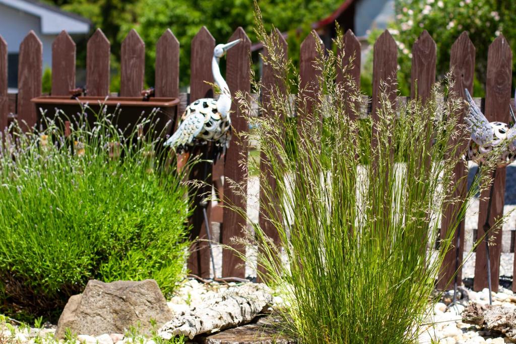 Vonkajšia záhrada v ubytovaní Apartmány Berries