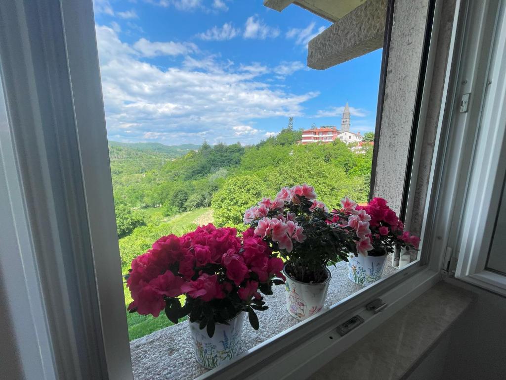 a window with flowers on a ledge with a view at Apartment Kaštel in Pazin