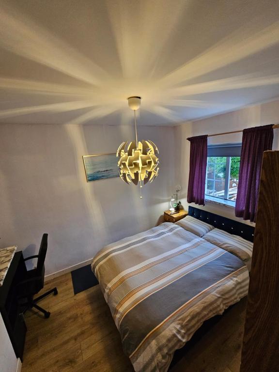 ダブリンにあるPrivate room in Dublinのベッドルーム1室(大型ベッド1台、シャンデリア付)