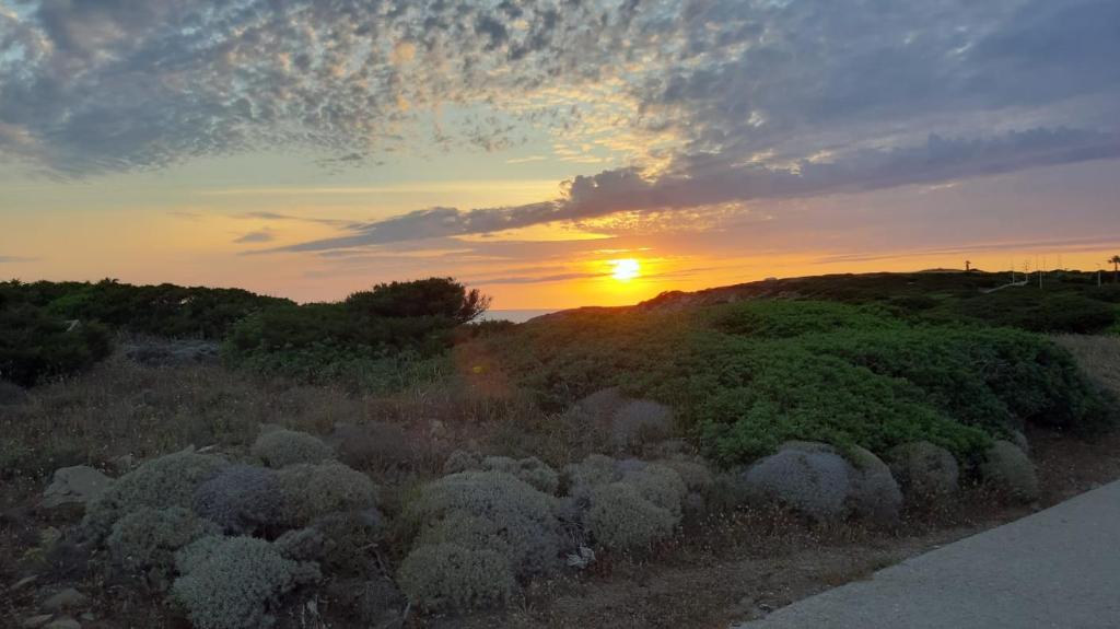 a sunset over a field of bushes with the sun setting at Casa Ethno Stintino-Private pool in Stintino