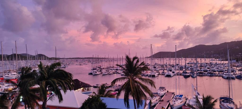 a marina with a lot of boats in the water at vue panoramique Marina in Le Marin