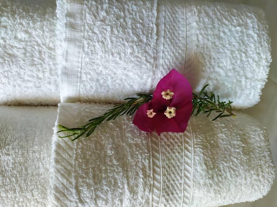 a purple flower sitting on top of a towel at Studio Aphrodite in Afiartis