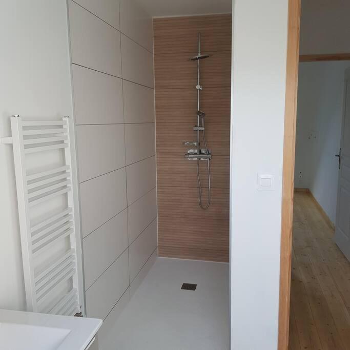 y baño con ducha y pared de madera. en Appartement Malawo, en La Flèche