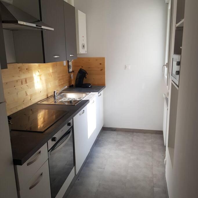 cocina con fregadero y encimera en Appartement Malawo, en La Flèche