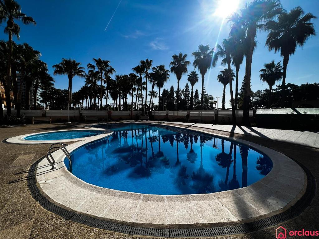 una piscina con palmeras en el fondo en Acogedor SierraMar 1era Línea, en Oropesa del Mar