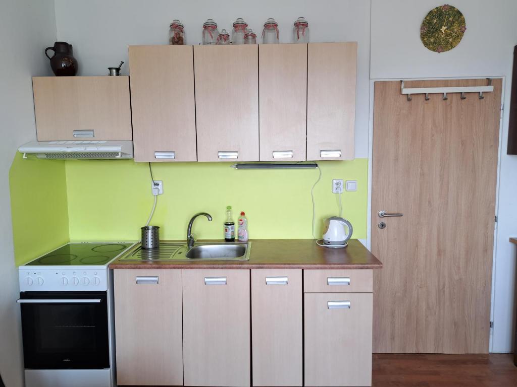 Kuchyň nebo kuchyňský kout v ubytování Apartmán v podhůří Krušných hor