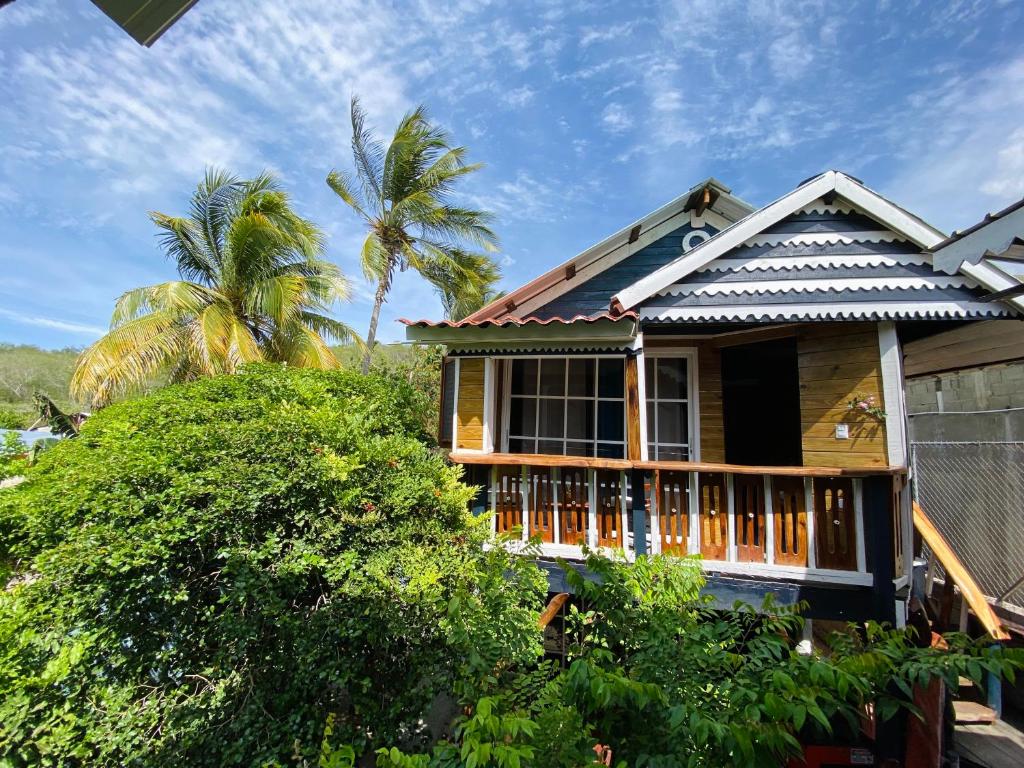 a house with palm trees in front of it at Baby Rustic in Punta Rucia