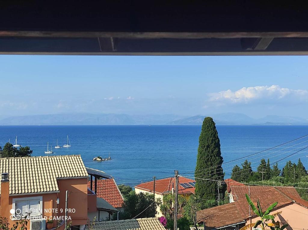 Táj Show holiday homes közelében