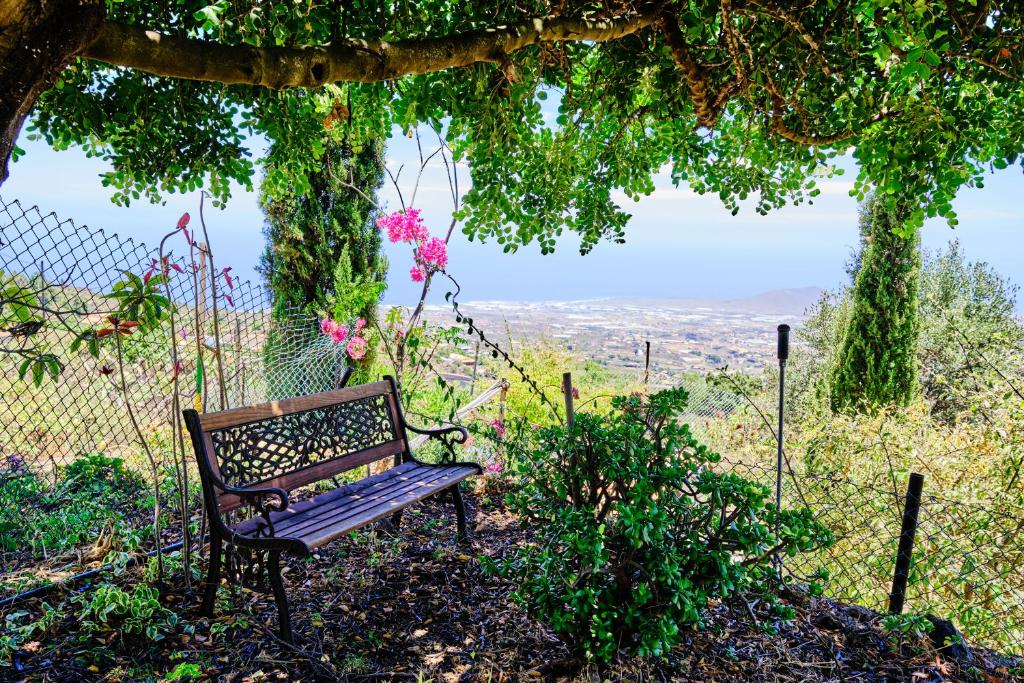 聖克魯斯－德特內里費的住宿－Tizziri rural，长凳,坐在带鲜花的凉棚下