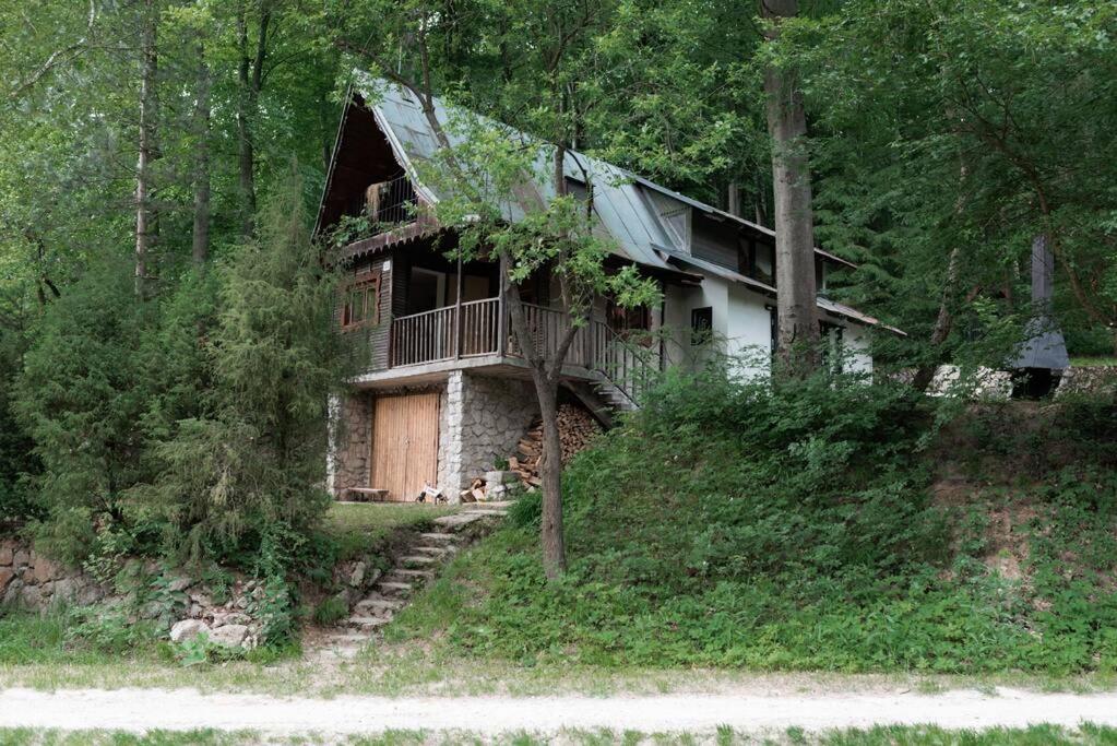 にあるPlne vybavená štýlová chata v Malých Karpatochの森の丘に腰掛けた家
